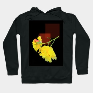 Cubist Rose Hoodie